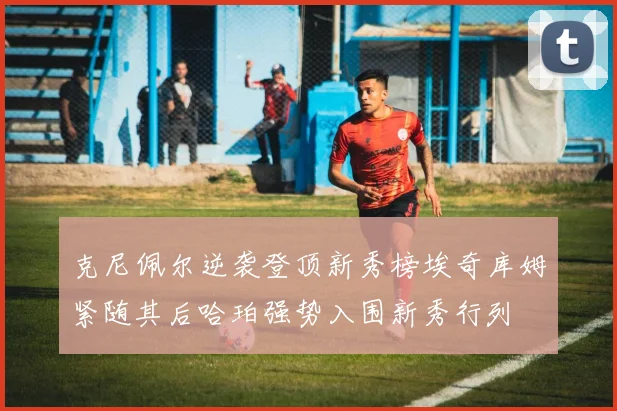 克尼佩尔逆袭登顶新秀榜埃奇库姆紧随其后哈珀强势入围新秀行列