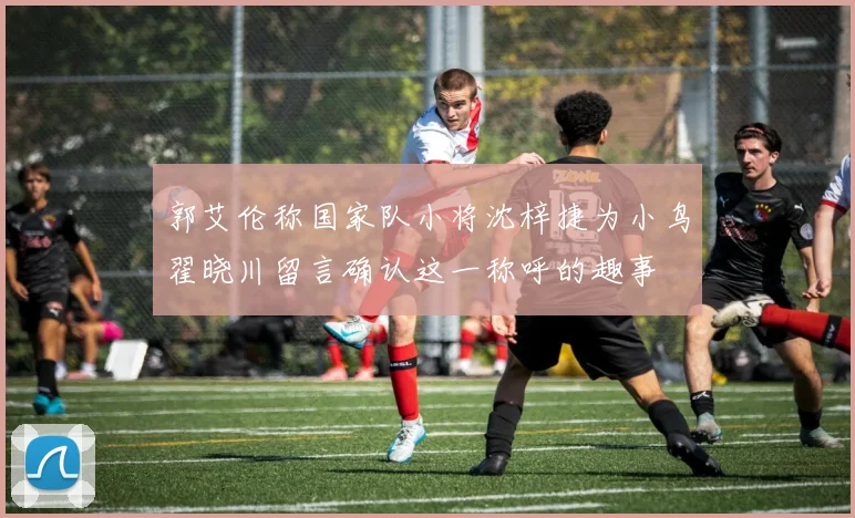 郭艾伦称国家队小将沈梓捷为小鸟翟晓川留言确认这一称呼的趣事